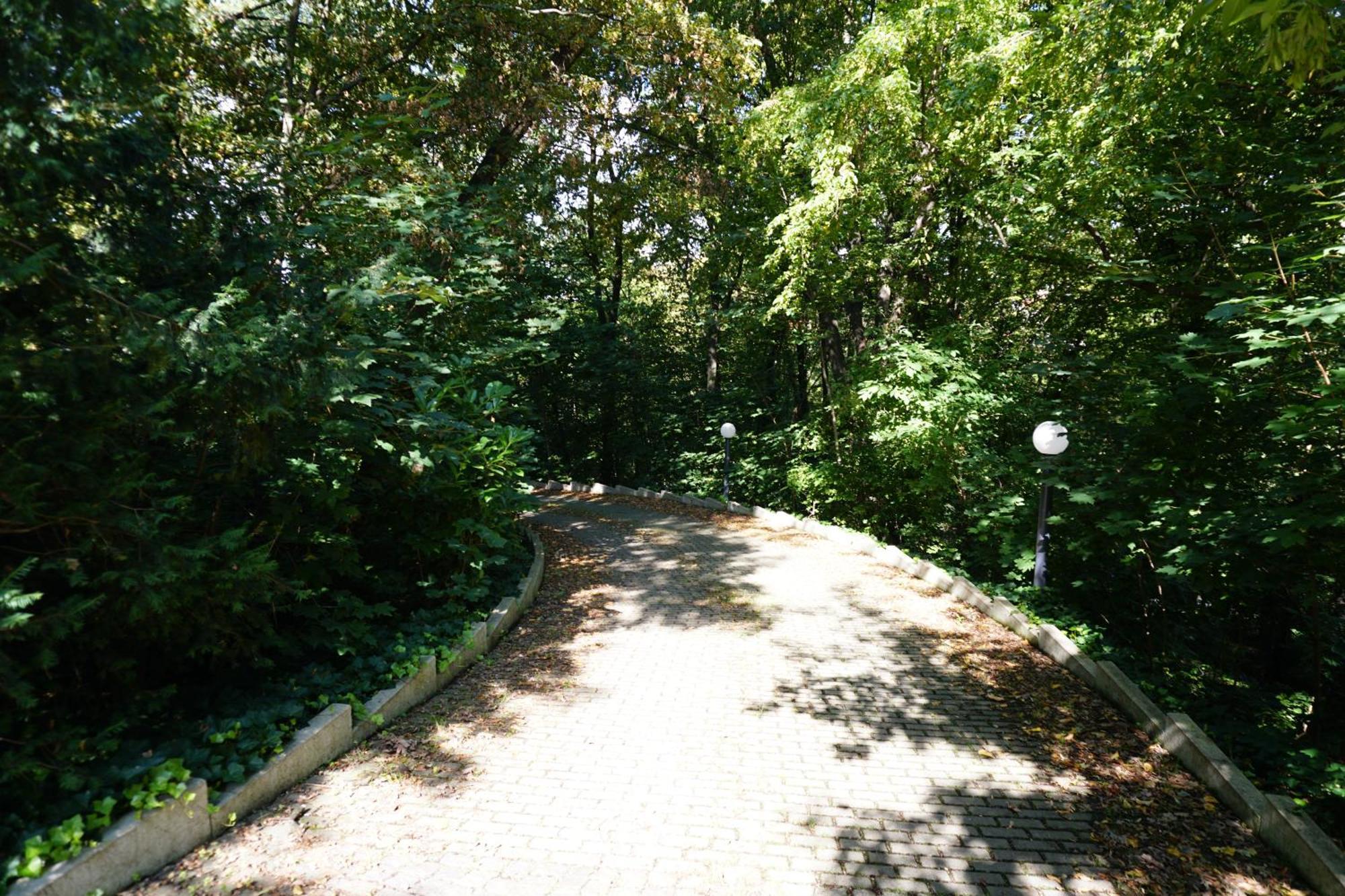 Villa Via Lapis - Panoramablick Ueber Dresden - Garten - Pool - Sauna - Luxus Extérieur photo